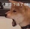 萌宠 汪星人 不聊了 下线了 呆萌 可爱
