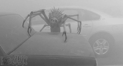 蜘蛛 人脸 怪物 异形 雾 mist nature