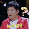妻子的浪漫旅行 郭晓冬 what 蒙圈 soogif soogif出品