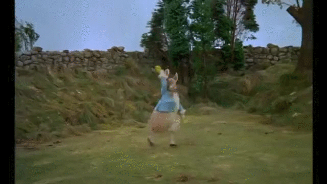 芭蕾舞  舞蹈  兔子,  移动时