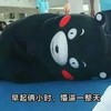 早起两小时 懵逼一整天 熊本熊 可爱 倒地