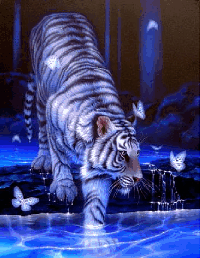 老虎  动物 动画  唯美