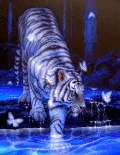 老虎  动物 动画  唯美