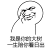 套路 我是你的大树一生陪你看日出 soogif soogif出品