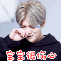 鹿晗 宝宝很伤心 心碎 流泪 搞怪 动图