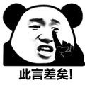 此言差矣 熊猫头