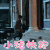 罪夜无间 王泷正 陈一鸣 小猪快跑 搞怪