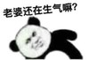 暴漫 熊猫头 老婆还在生气嘛 好奇 搞怪 逗