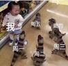 我 周一 周二 周三 周四 周五 哭泣 搞笑