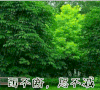 清明节