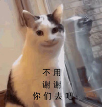 萌宠 猫星人 不用谢谢 你们去吧 呆萌 可爱
