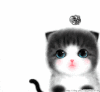 猫咪 委屈 难过 眼神 可爱