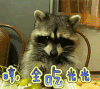 生气 哼全吃光光