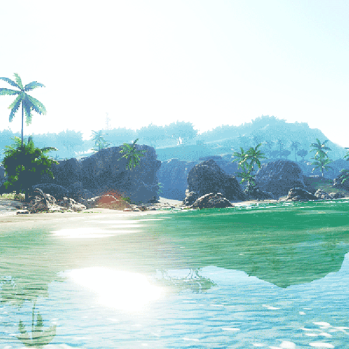 大海 海水阳光 椰子树