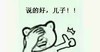 大拇指 捂脸 太开心 说的好儿子