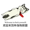 欢迎来到单身狗联盟 教皇 搞笑 可笑