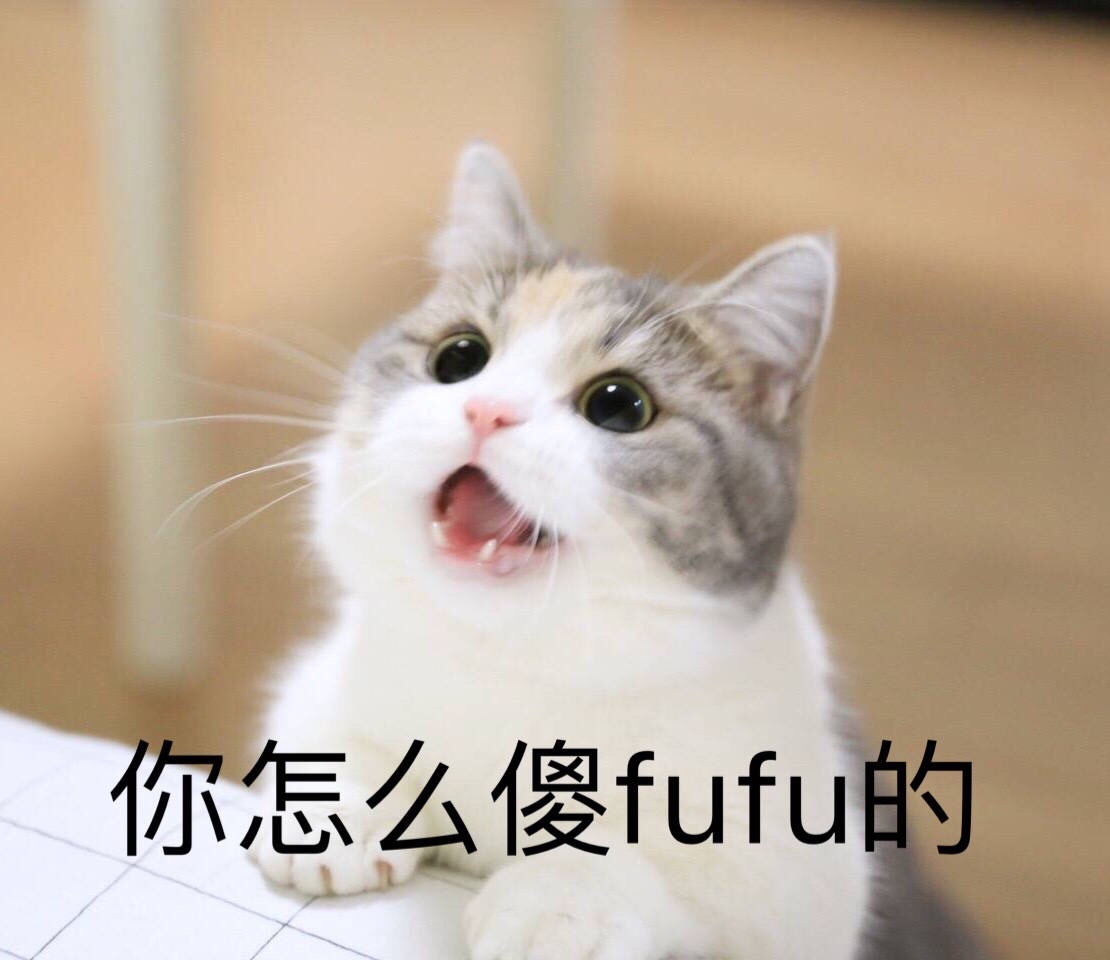 猫咪 可爱 呆萌 斗图 你怎么傻 fufu的（傻乎乎的）
