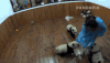 小熊猫 可爱 抱大腿 蠢萌