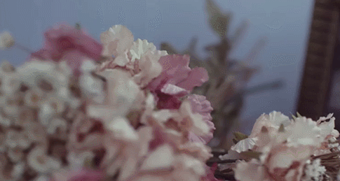 CNBLUE MV 唯美画面 花朵 鲜花