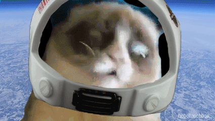 脾气暴躁的猫 猫 空间 宇航员 头盔