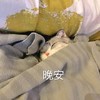 萌宠 喵星人 晚安 我睡了 呆萌 可爱