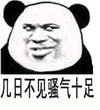 熊猫人 坏笑 大脸 几日不见骚气十足
