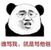 熊猫人 谁骂我 就是骂他爸 斗图