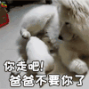 萌宠 狗 狗狗 拒绝 你走吧 不要你了 爸爸 soogif soogif出品