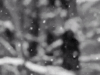 雪 snow nature