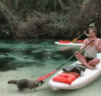 划船 害怕 跳下船 躲开