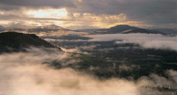 雾气 缭绕 美丽 风景