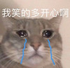 萌宠 猫星人 我笑得多开心啊 哭泣 呆萌 可爱