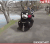 熊本熊 贱 撞人