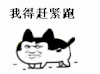 小猫 教皇 可爱 跑