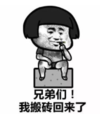 暴漫 熊猫头 兄弟们我搬砖回来了 逗 搞笑 魔性