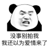 熊猫头 文字表情包 没事别拍我我还以为爱情来了 搞笑 逗 沙雕