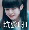 坑爹 赵丽颖
