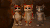 猫咪 卖萌 带走 搞笑 下去 可耻 gif