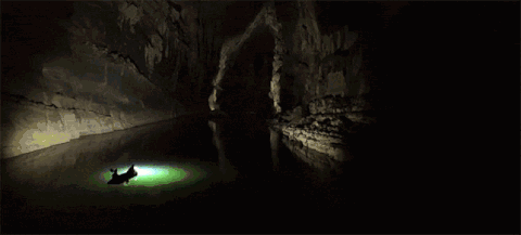 洞穴 黑暗 神奇 发光