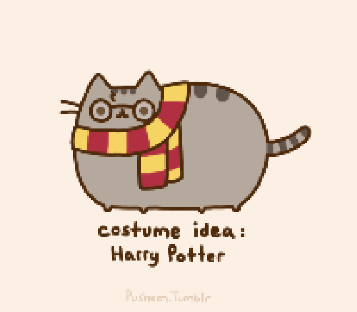 哈利波特 猫 致敬