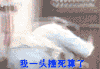 男人 帅气 搞笑 调皮 可爱