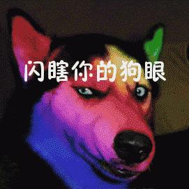 闪瞎眼GIF动态图_闪做梦表情_闪瞎眼GIF动表情包醒瞎眼笑图片