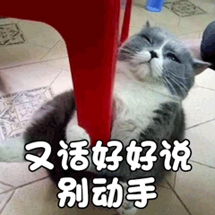 猫 萌宠 喵星人