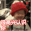 很高兴认识你
