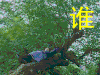 新侠客行 蔡宜达 谁