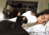 猫咪 喵星人 可爱 搞笑 淘气 么么哒