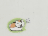 可爱 猫咪 动态 萌萌哒