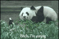 熊猫 可爱 竹子 翻滚