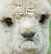 萌宠 小羊 憋屈 委屈 呆萌 不开心