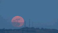 自然 黑夜 月亮 圆